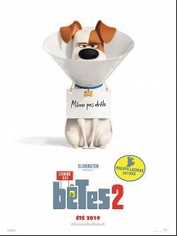 Comme des bêtes 2 FRENCH DVDRIP 2019